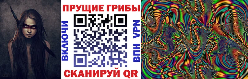 купить   Циолковский  Псилоцибиновые грибы мухоморы 