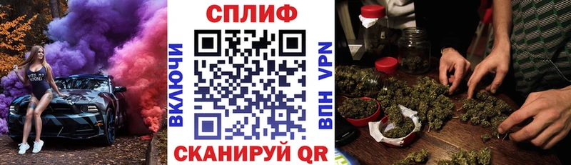 где купить наркоту  Циолковский  Шишки марихуана LSD WEED 